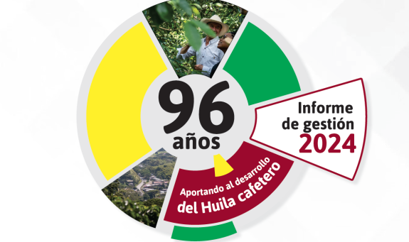 Informe de gestión 2024